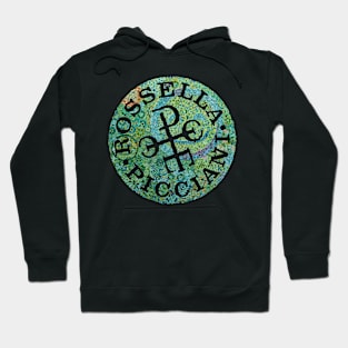 Ever the Optimist Hoodie